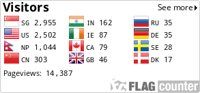 Flag Counter